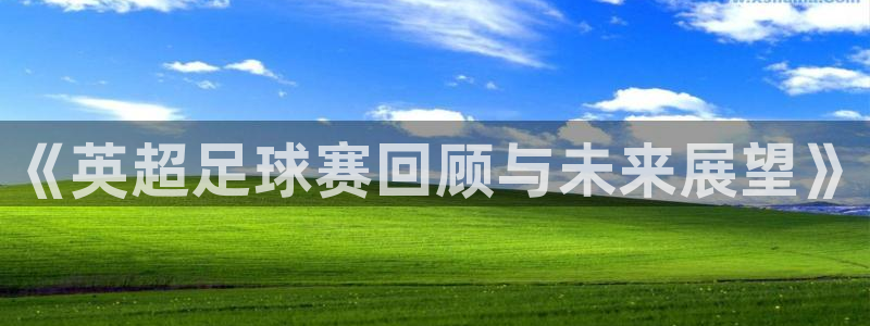 《英超足球赛回顾与未来展望》