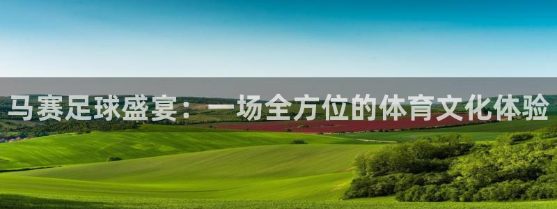  马赛足球盛宴：一场全方位的体育文化体验