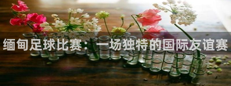  缅甸足球比赛：一场独特的国际友谊赛