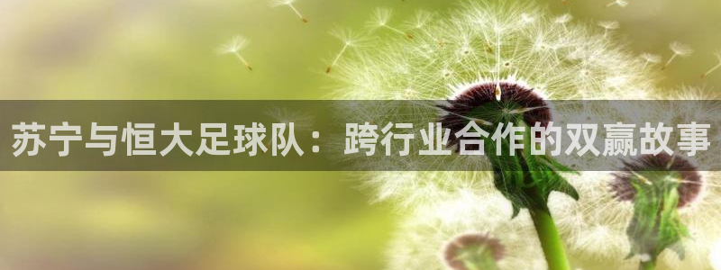  苏宁与恒大足球队：跨行业合作的双赢故事