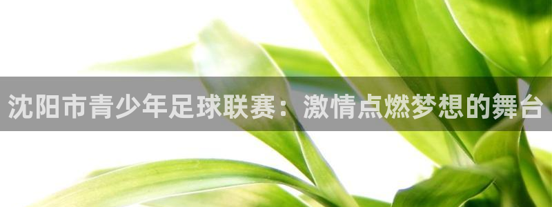  沈阳市青少年足球联赛：激情点燃梦想的舞台