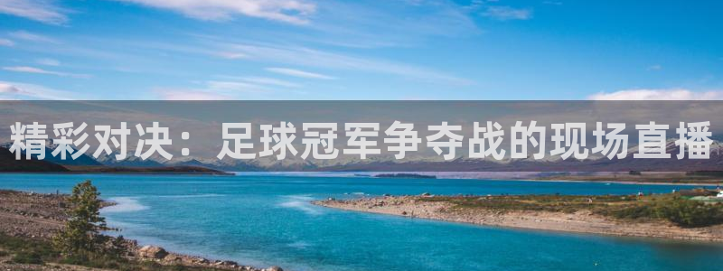 精彩对决：足球冠军争夺战的现场直播