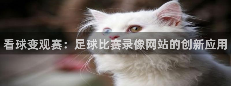 看球变观赛：足球比赛录像网站的创新应用