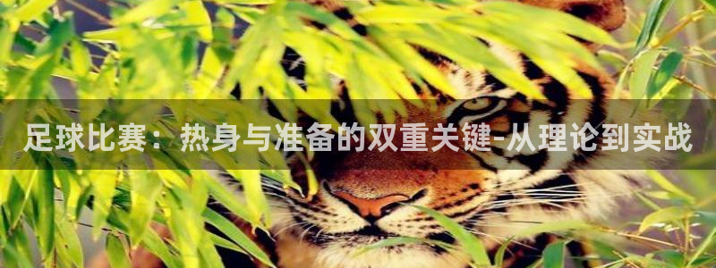 足球比赛：热身与准备的双重关键-从理论到实战