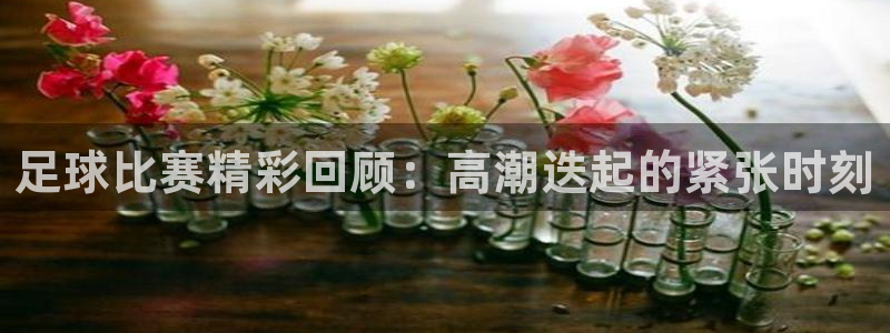  足球比赛精彩回顾：高潮迭起的紧张时刻