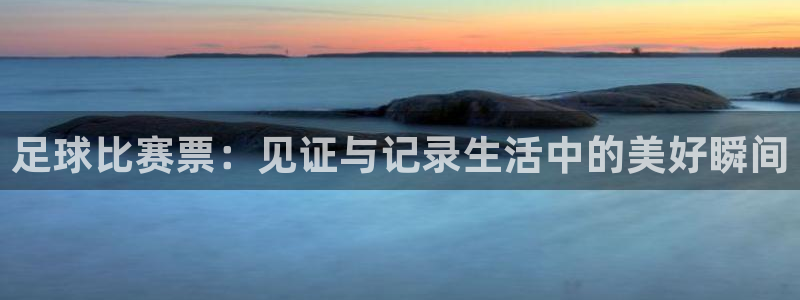  足球比赛票：见证与记录生活中的美好瞬间