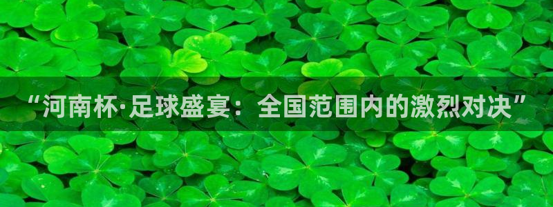  “河南杯·足球盛宴：全国范围内的激烈对决”