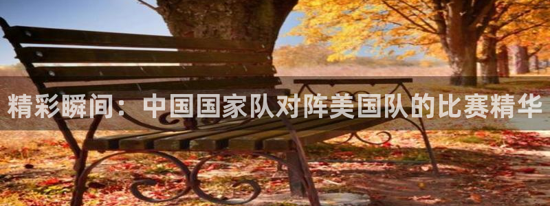  精彩瞬间：中国国家队对阵美国队的比赛精华