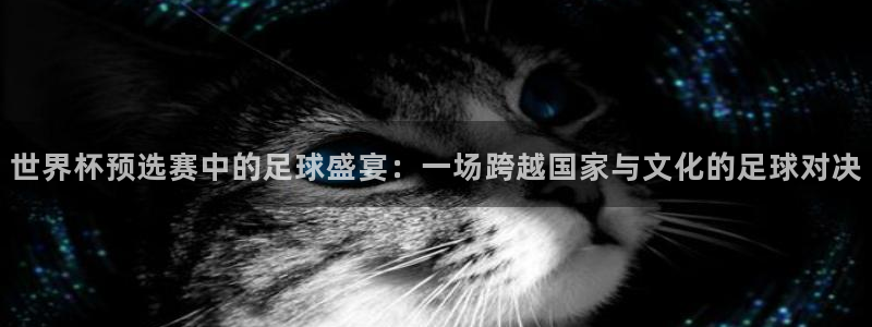 世界杯预选赛中的足球盛宴：一场跨越国家与文化的足球对决