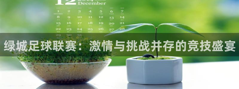 绿城足球联赛：激情与挑战并存的竞技盛宴