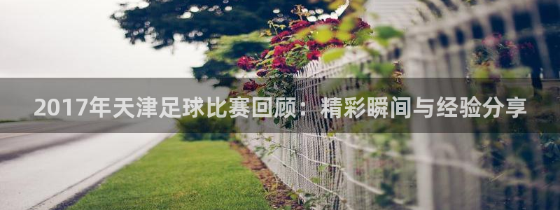 2017年天津足球比赛回顾：精彩瞬间与经验分享
