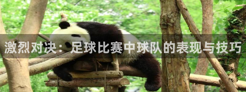 激烈对决：足球比赛中球队的表现与技巧
