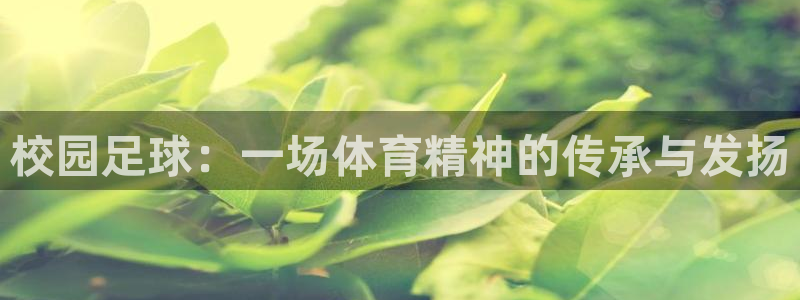  校园足球：一场体育精神的传承与发扬