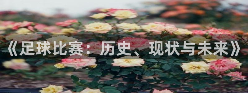 《足球比赛：历史、现状与未来》