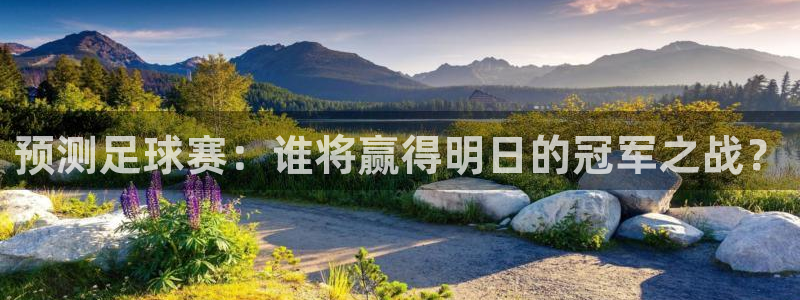 预测足球赛：谁将赢得明日的冠军之战？