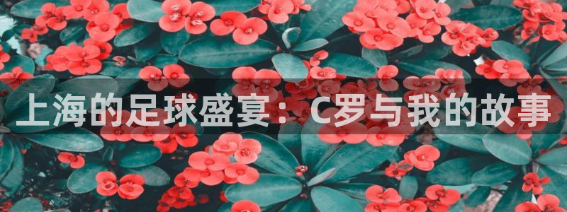 上海的足球盛宴：C罗与我的故事