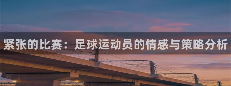 紧张的比赛：足球运动员的情感与策略分