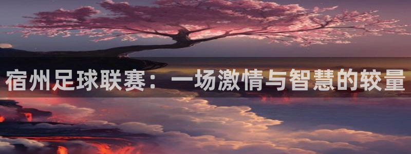 宿州足球联赛：一场激情与智慧的较量