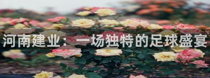 河南建业：一场独特的足球盛宴