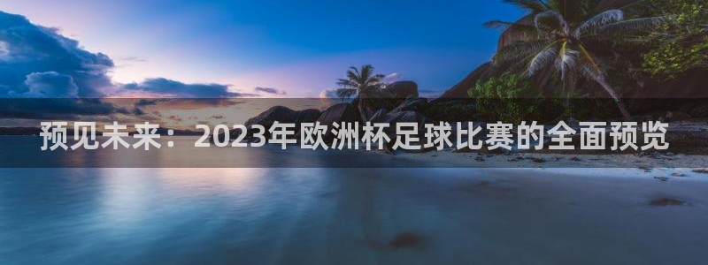 预见未来：2023年欧洲杯足球比赛的
