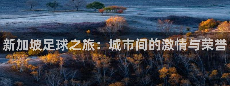 新加坡足球之旅：城市间的激情与荣誉