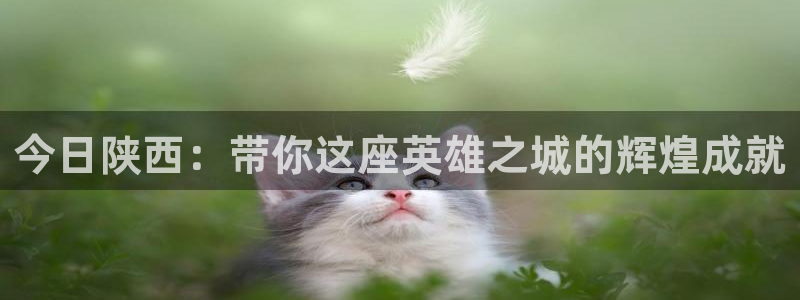 178无延迟足球直播：今日陕西：带你这座英雄之城的辉煌成就