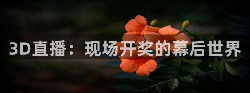 178直播体育足球在线观看高清：3D直播：现场开奖的幕后世界
