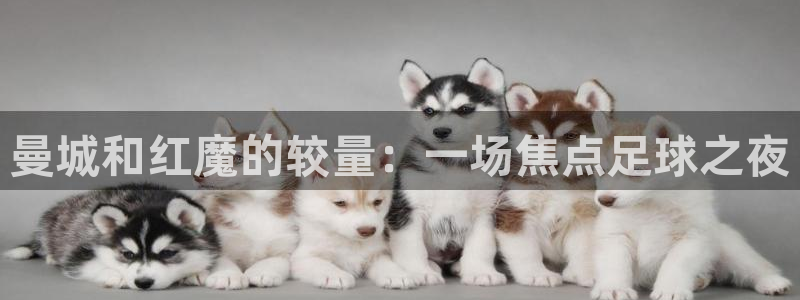 178足球直播直播：曼城和红魔的较量：一场焦点足球之夜