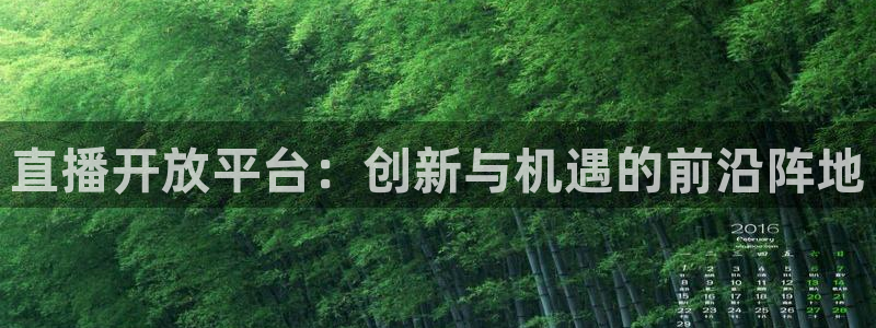 178看球直播app：直播开放平台：创新与机遇的前沿阵地