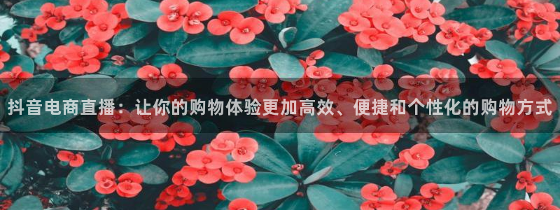 178篮球直播在线观看免费：抖音电商直播：让你的购物体验更加高效、便捷和个性化的购物方式